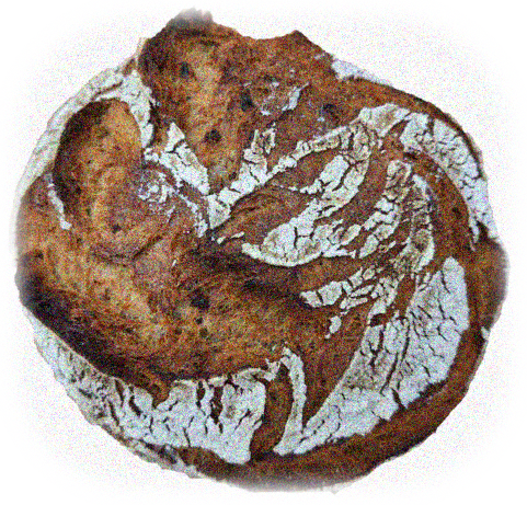 Urgetreidebrot Urgetreidebrot